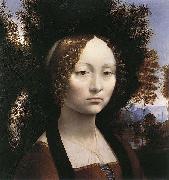 LEONARDO da Vinci Portrait of Ginevra de Benci oil on canvas